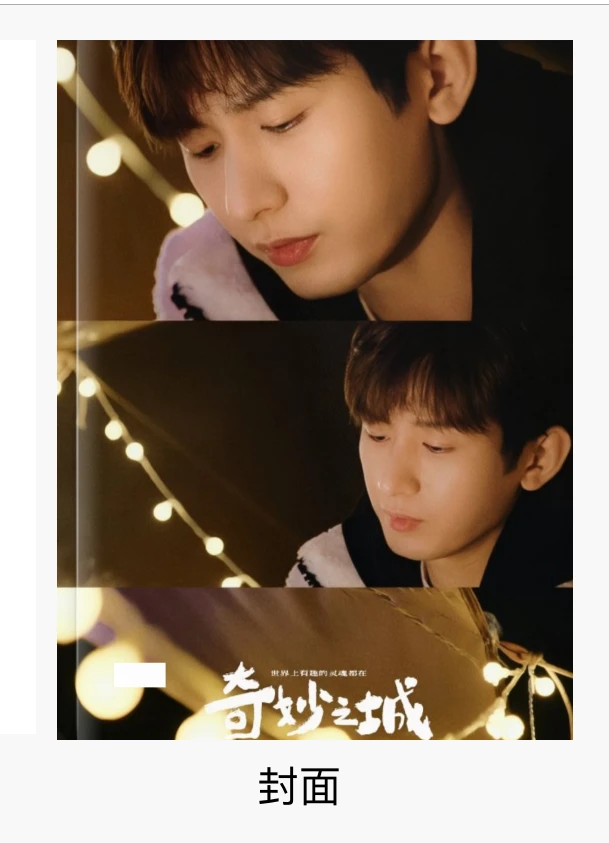 成毅奇妙之城杂志册（定制品不能退款）
