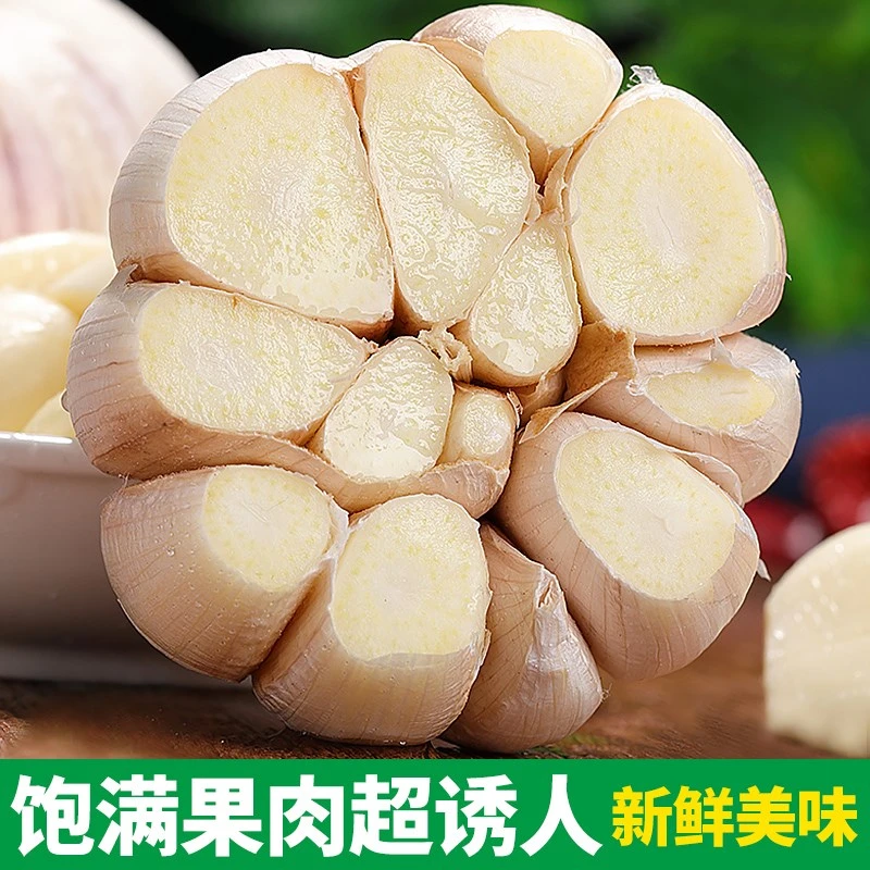 【青青】2023年河南农家新大蒜头干蒜大蒜干蒜独头大祘种子紫白