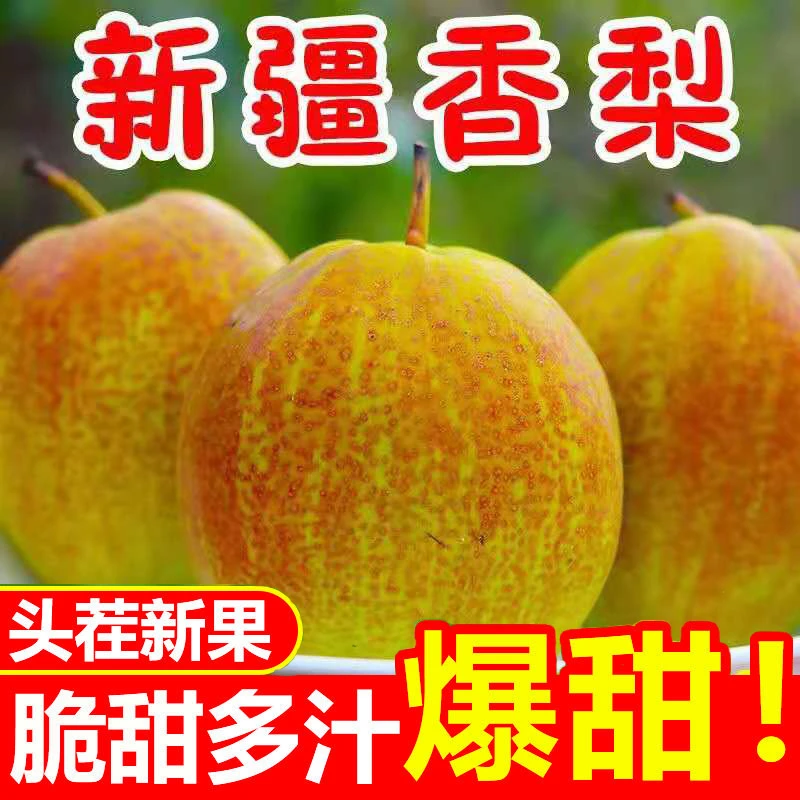 【青青】当季红香酥梨新鲜水果香梨整箱批发脆甜皮薄梨子包