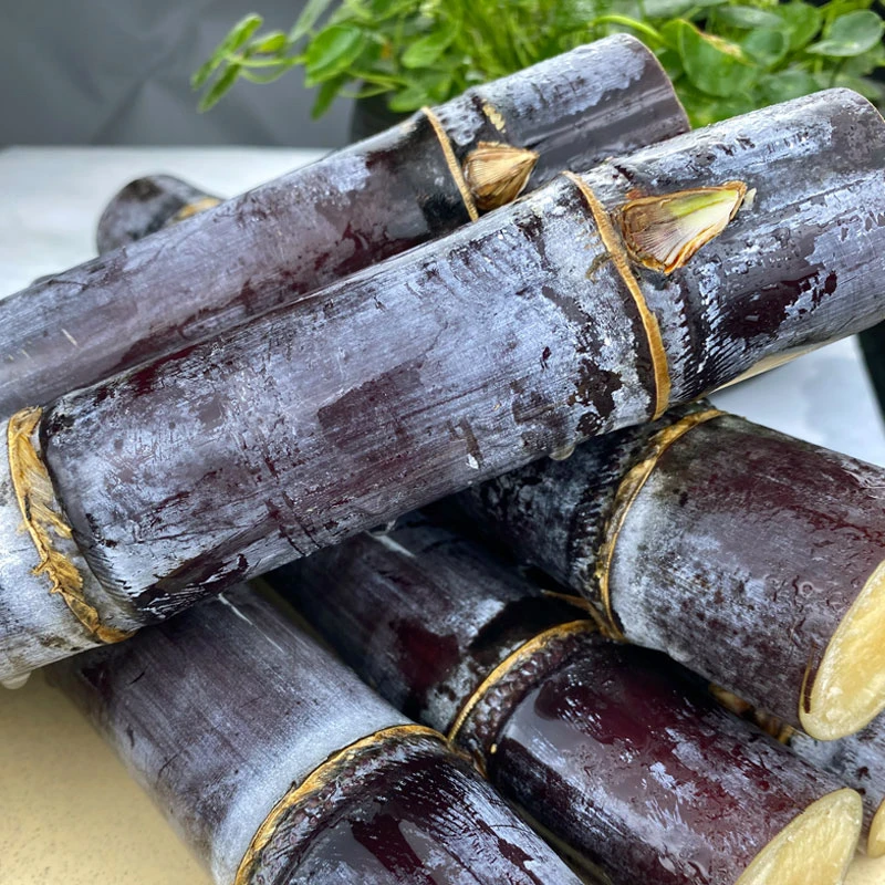 广西黑皮甘蔗5斤