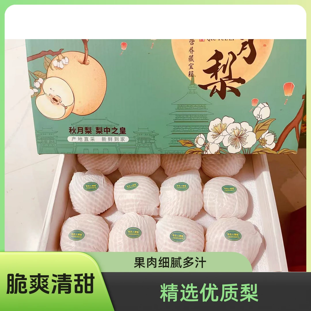 秋月梨12枚（礼品盒装）顺丰包邮