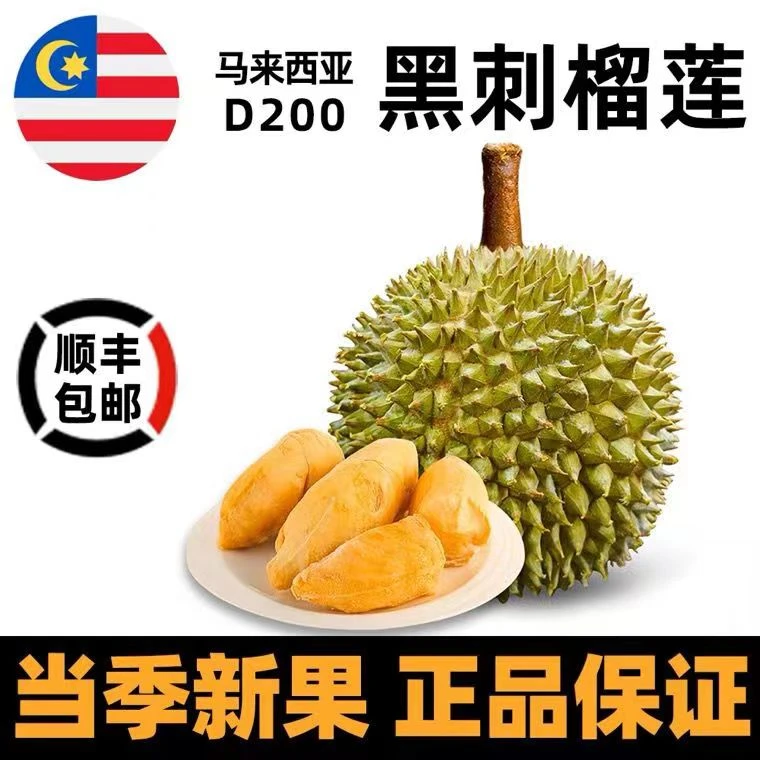 马来西亚D200黑刺榴莲液氮冷冻带壳榴莲顺丰包邮到家