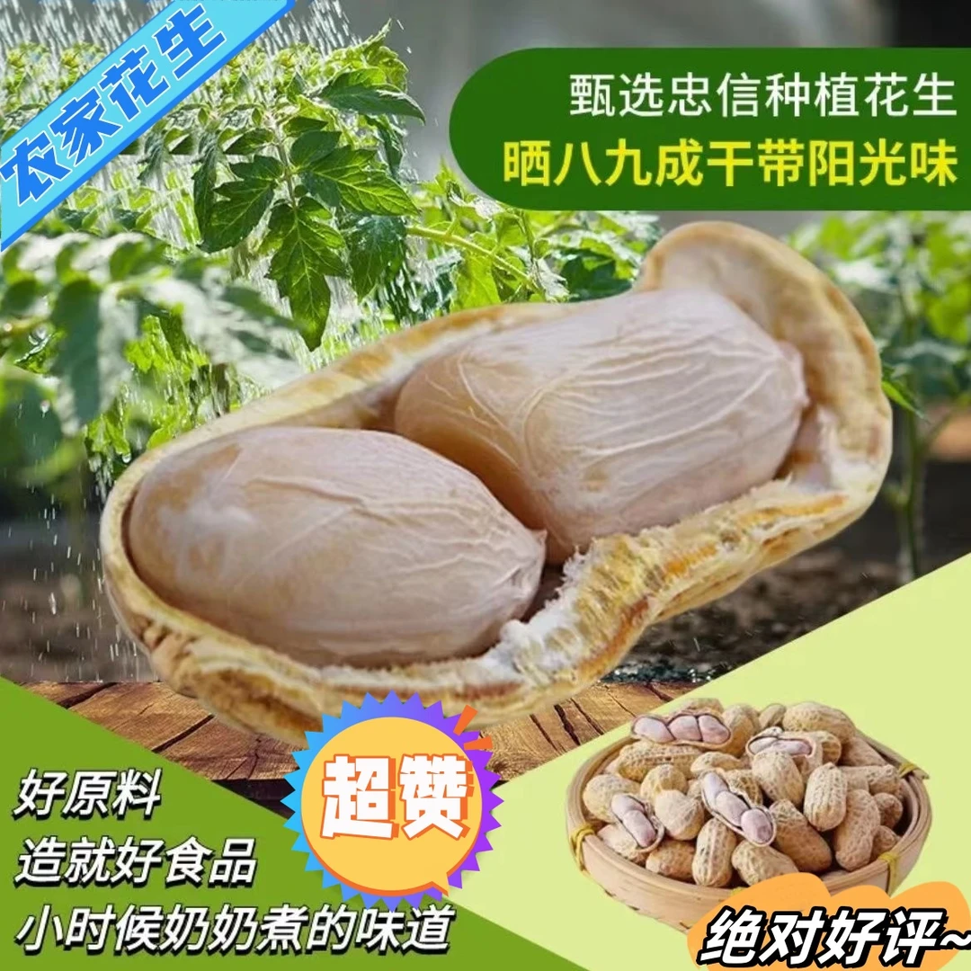 2025年新水煮白晒带壳咸干花生龙岩特产美味有嚼劲休闲零食