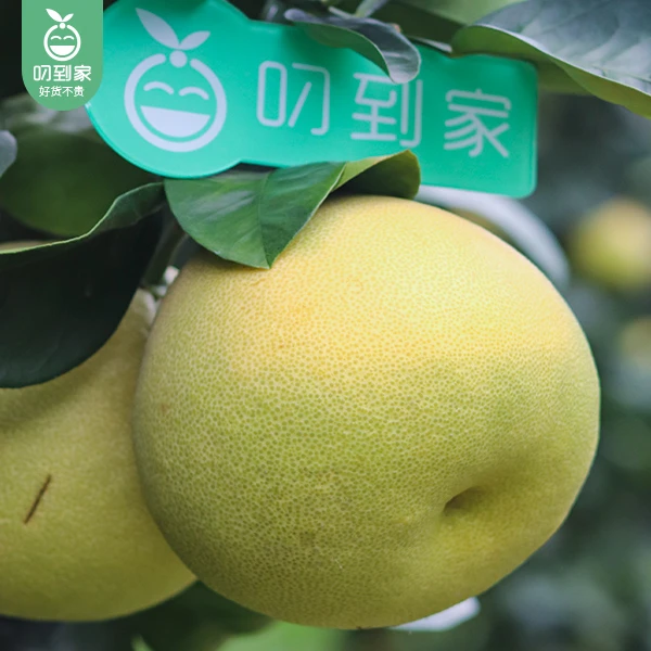 【叼到家】莆田度尾文旦柚/1份（4个，共2.7kg±100g）