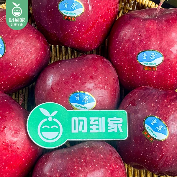 【叼到家】甘肃天水雪原苹果/1盒（6个，共1.2kg±50g）