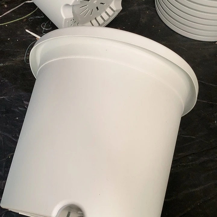 红陶20CM（含）-50CM（不含）W32白无4个