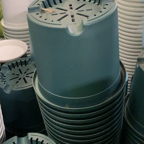 树脂20CM（含）-50CM（不含）忘**…7级福利