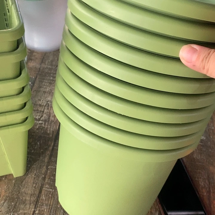 红陶20CM（含）-50CM（不含）21口果绿无托10个