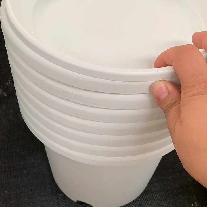 红陶20CM（含）-50CM（不含）25口奶白带拖7个