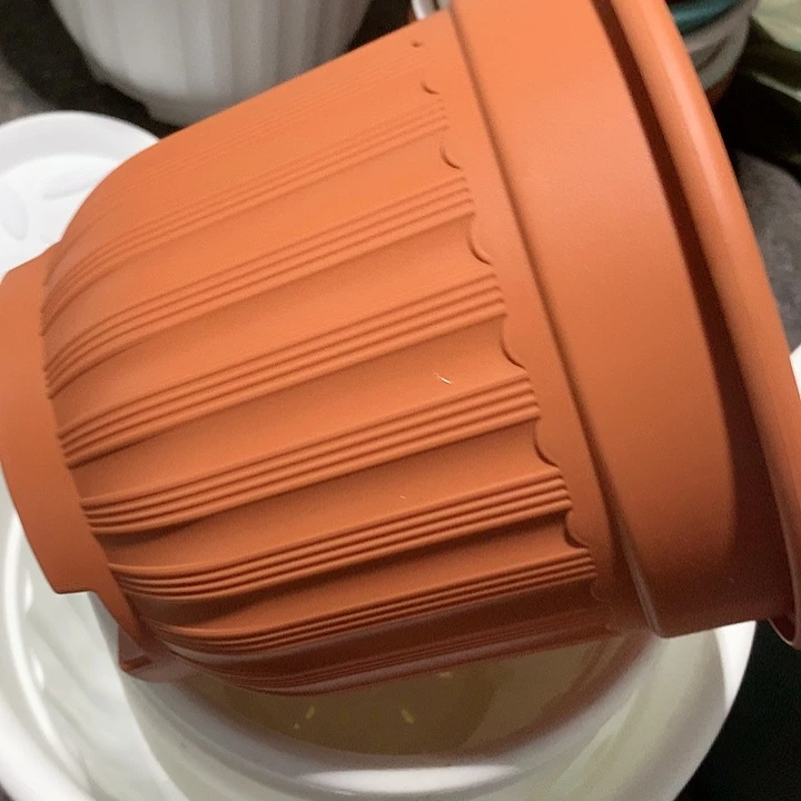红陶20CM（含）-50CM（不含）21口红色罗马无托5个