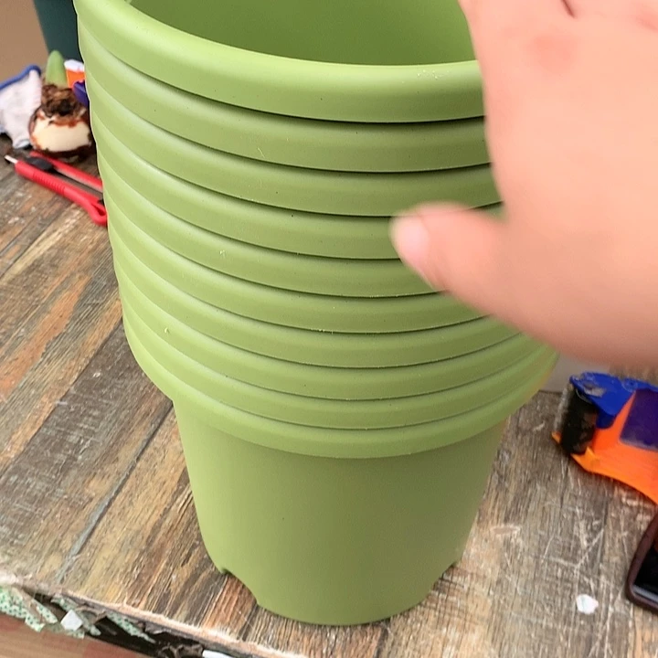 红陶20CM（含）-50CM（不含）月**啼21绿无10个