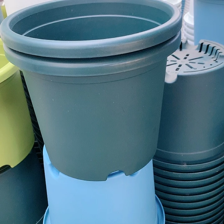 树脂20CM（含）-50CM（不含）幸****7级福利