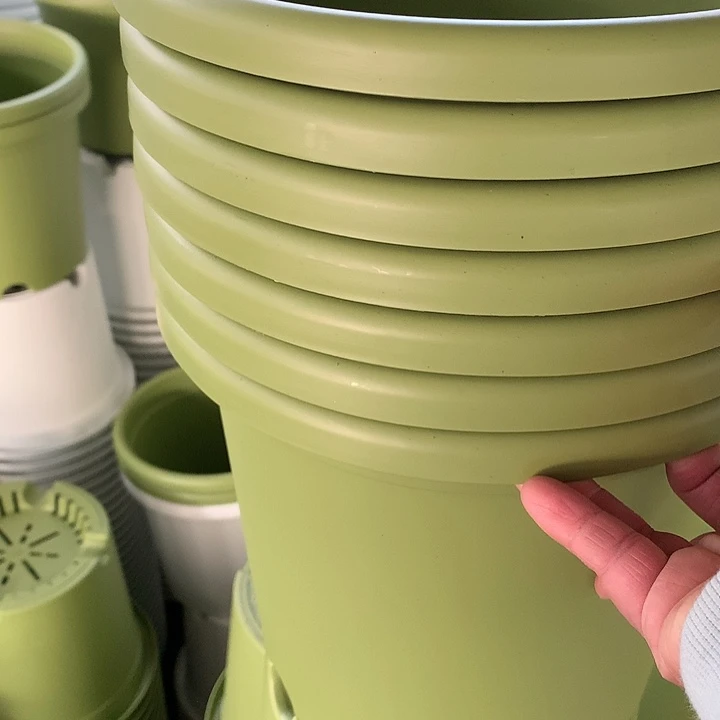 红陶20CM（含）-50CM（不含）菲*呀25绿无7个瑕