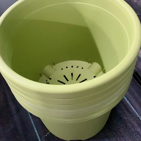 树脂20CM（含）-50CM（不含）6个29口果绿微瑕无托