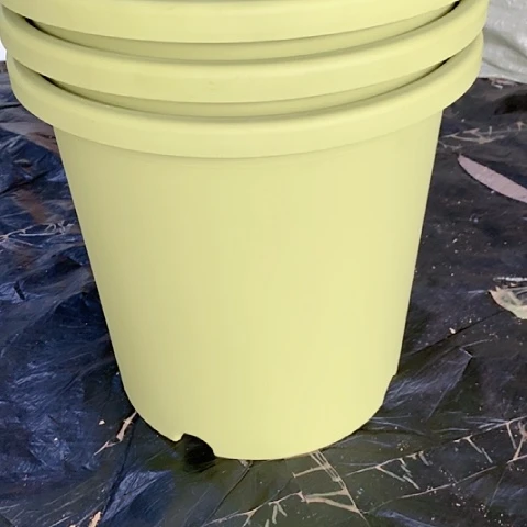 树脂20CM（含）-50CM（不含）3个7加果绿无托