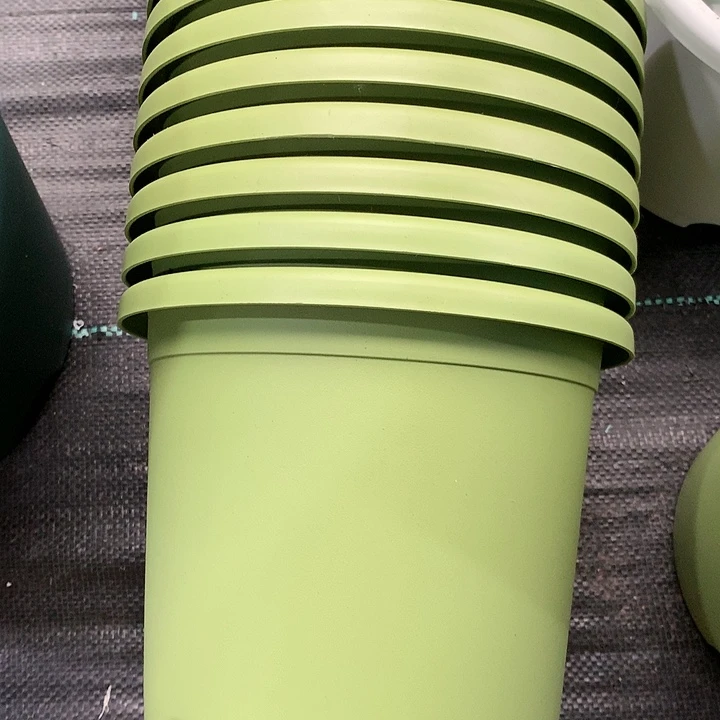 红陶20CM（含）-50CM（不含）黙*21口果绿无托10个