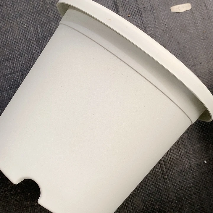 红陶20CM(含)-50CM(不含)小**?21白10个无