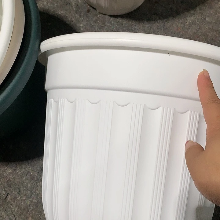 红陶20CM（含）-50CM（不含）真**生32罗白5无