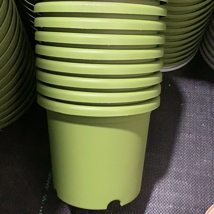 红陶20CM（含）-50CM（不含）17口绿无托10个