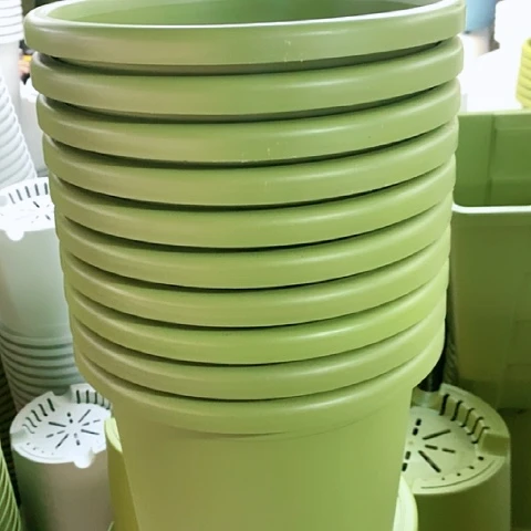 树脂20CM（含）-50CM（不含）10个21果绿擦伤无托