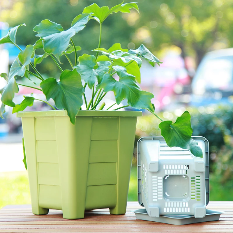 [校长专属】伊特 360度透气控根塑料多肉法师月季大树脂塑料花盆