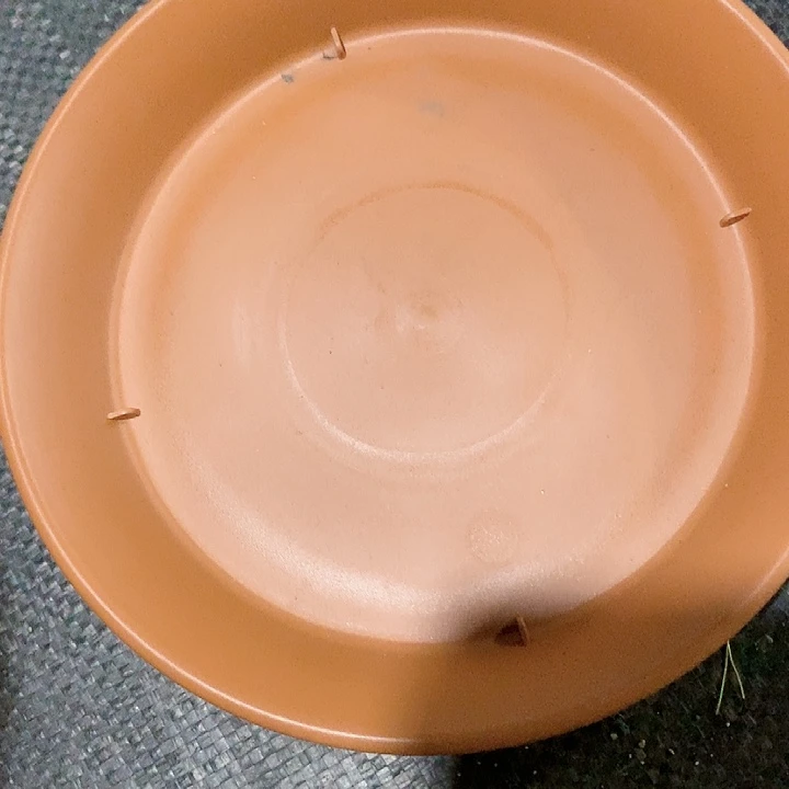 树脂20CM（含）-50CM（不含）2个30浮雕托盘