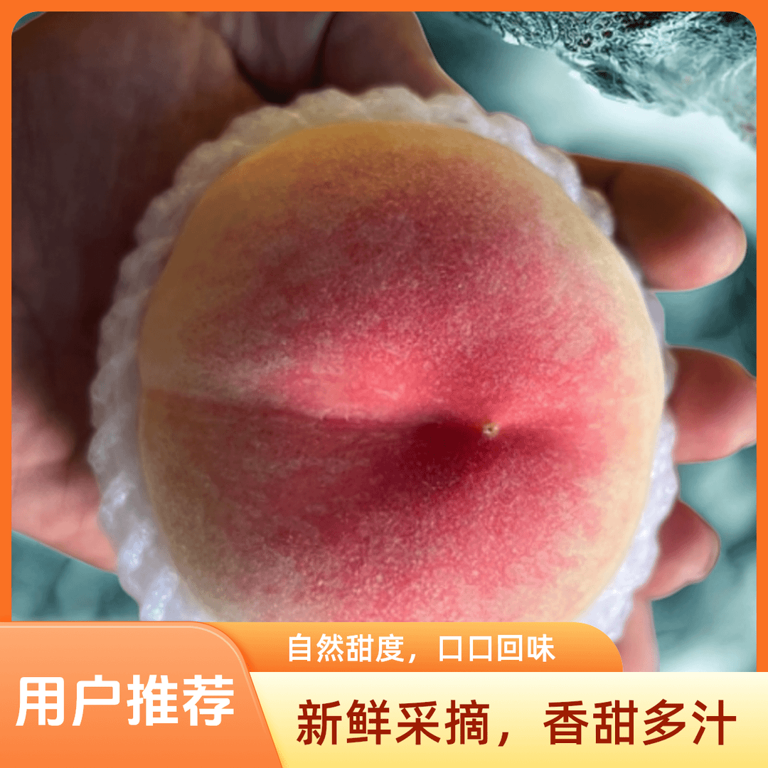 水蜜桃中桃白富美大白凤