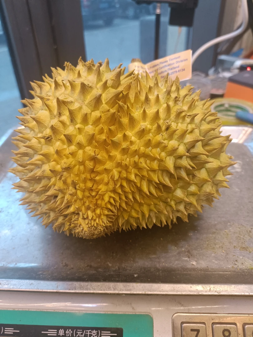 泰国树熟金枕榴莲