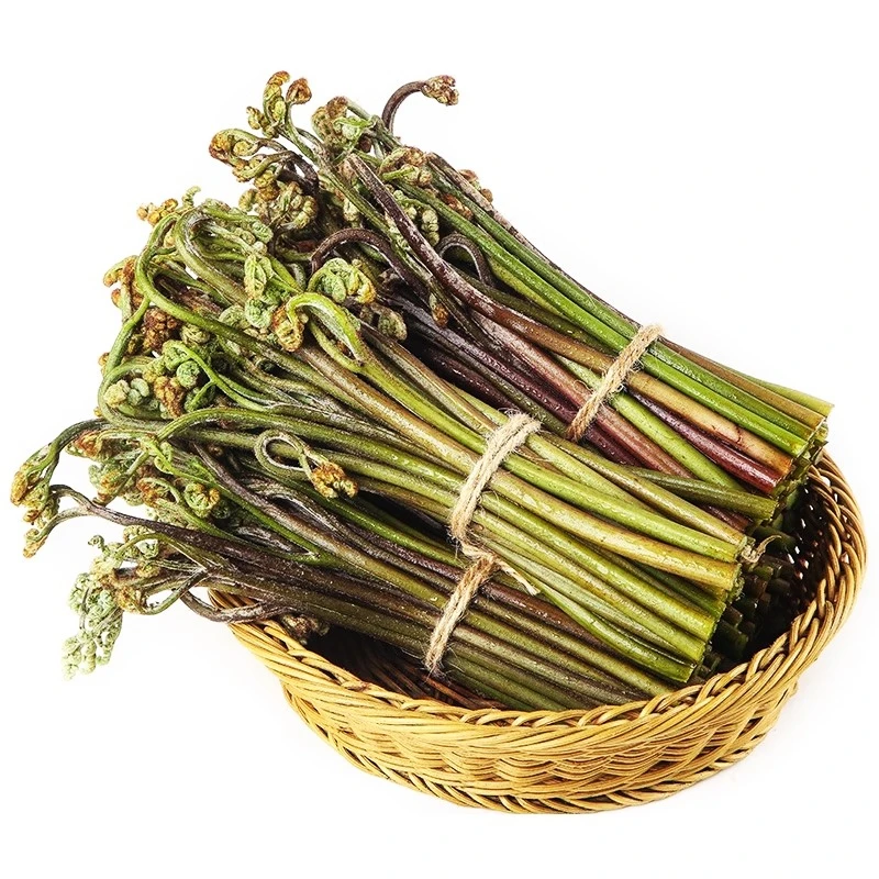 重庆当季新鲜野生蕨菜蕨苔鲜嫩现摘龙爪菜拳头菜凉拌下饭菜5斤
