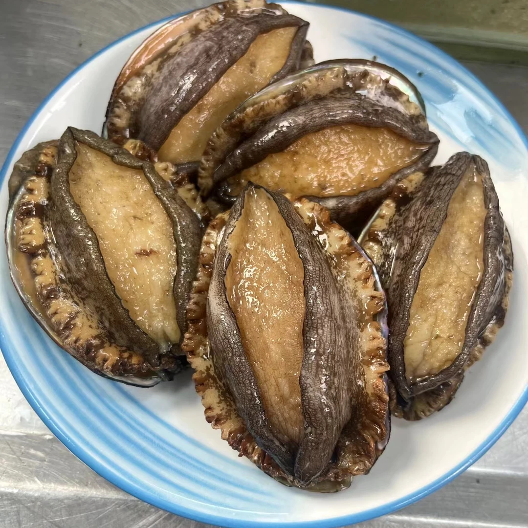 【顺丰发货】5-7头大鲍鱼长度7-8cm 东山岛深海鲍鱼 液氮速冻海鲜