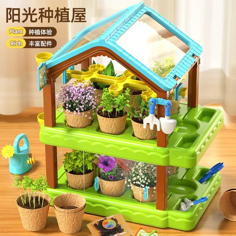 儿童阳光房礼物植物观察种植阳光屋花房玩具儿童盆栽6-12岁观察力