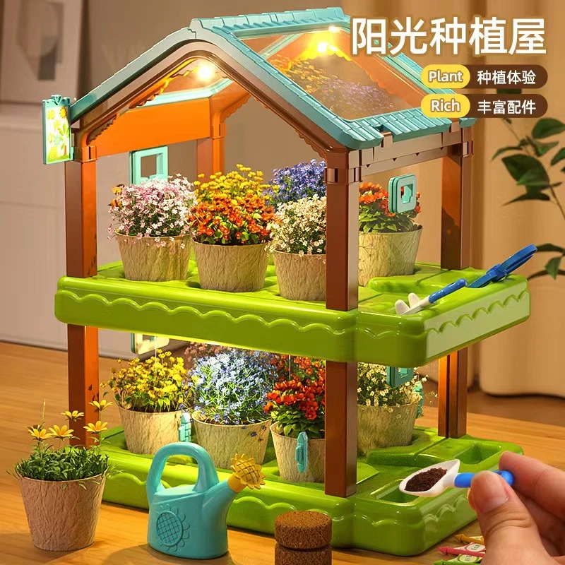阳光房玩具植物阳光屋儿童科学实验玩具观察迷你种植阳光房6-12岁
