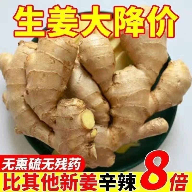 【雪姐专属】云南新鲜小黄姜老姜土姜生姜新鲜蔬菜现挖高山月子姜