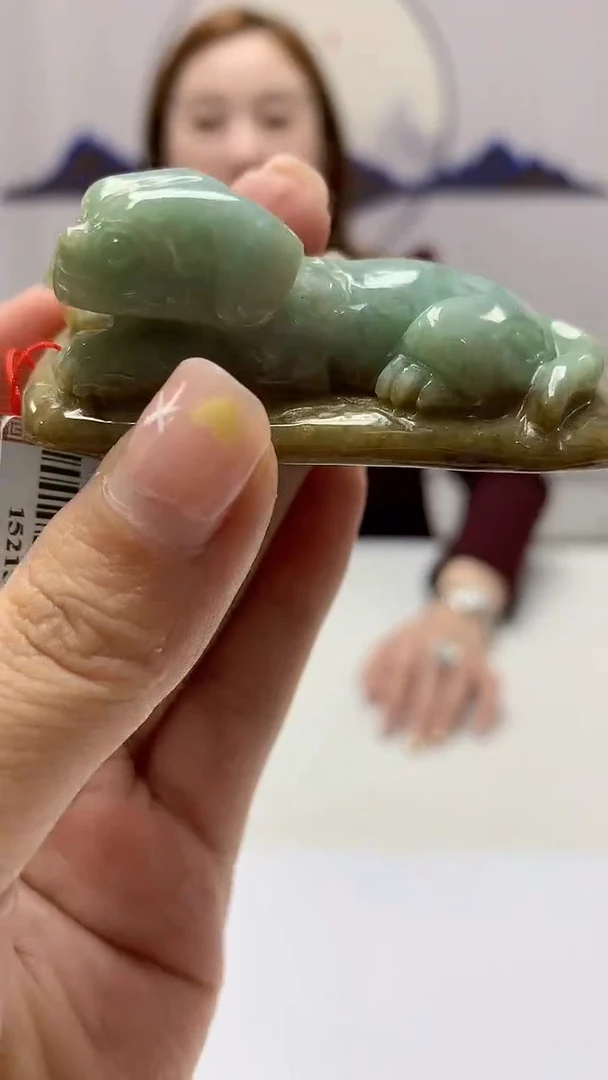 【闪购商品】定制翡翠未镶嵌4852ms-毛货48狗