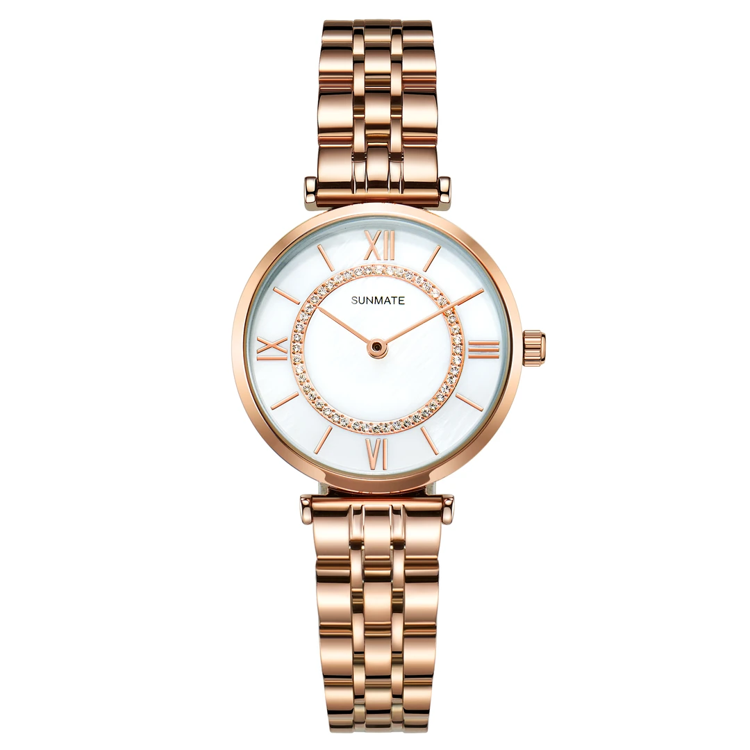 【宠粉专属】时尚潮流摩天轮轻奢百搭气质防水原装手表女士腕表