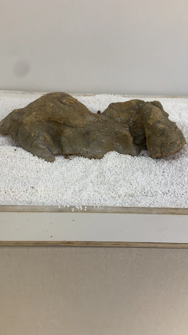 灵璧石原石仅供直播间参考不单卖