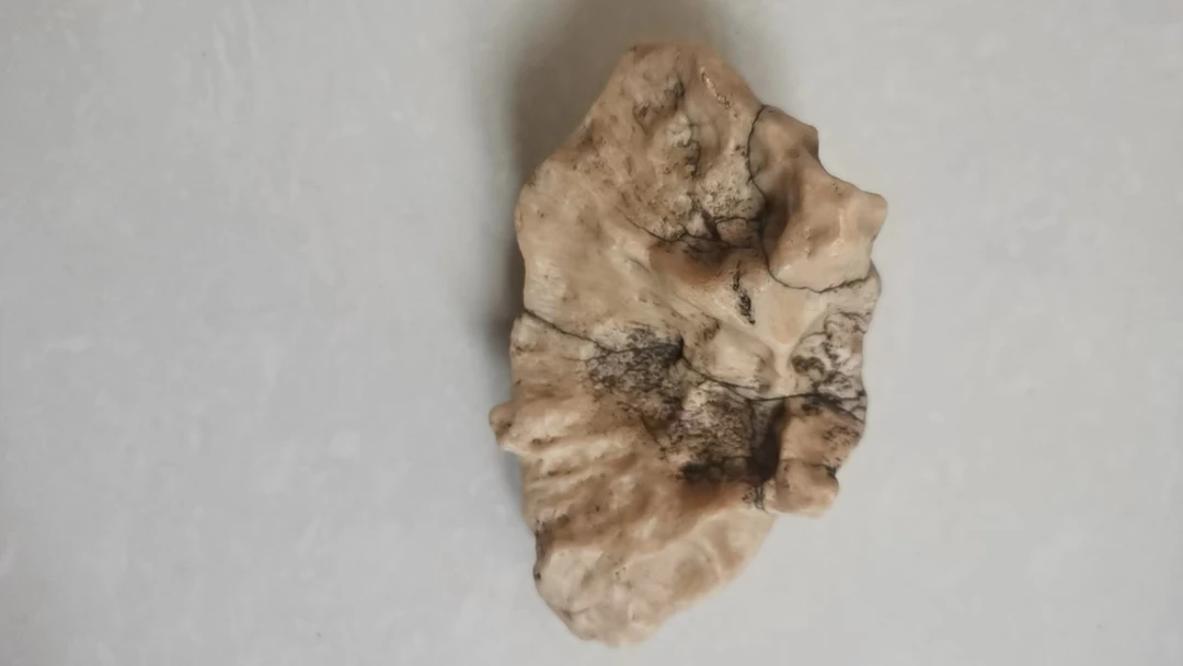 阿拉善戈壁石精品奇石(1000-10000)