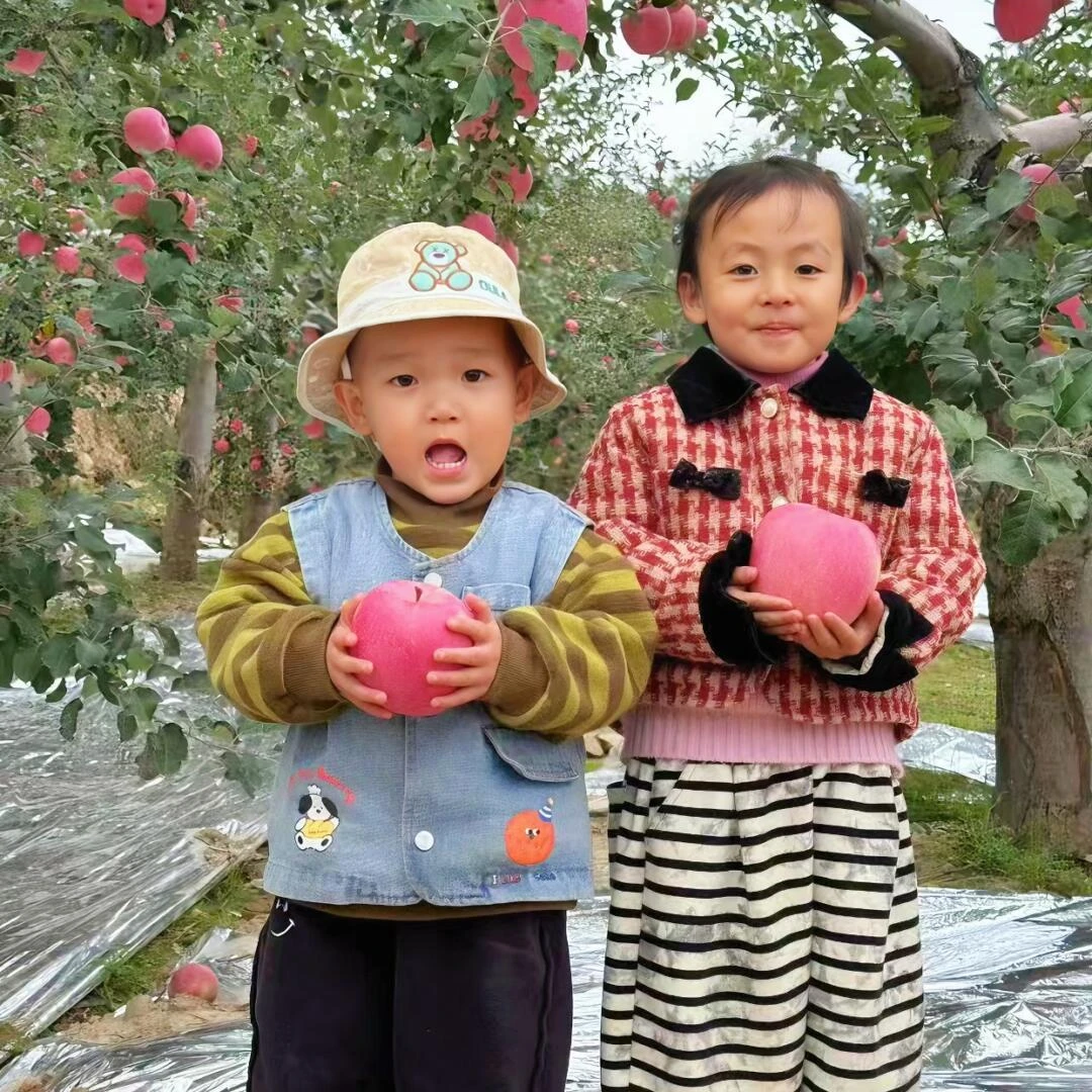 甘肃高山红富士苹果冰糖心现摘现发孕妇水果脆甜多汁产地直发