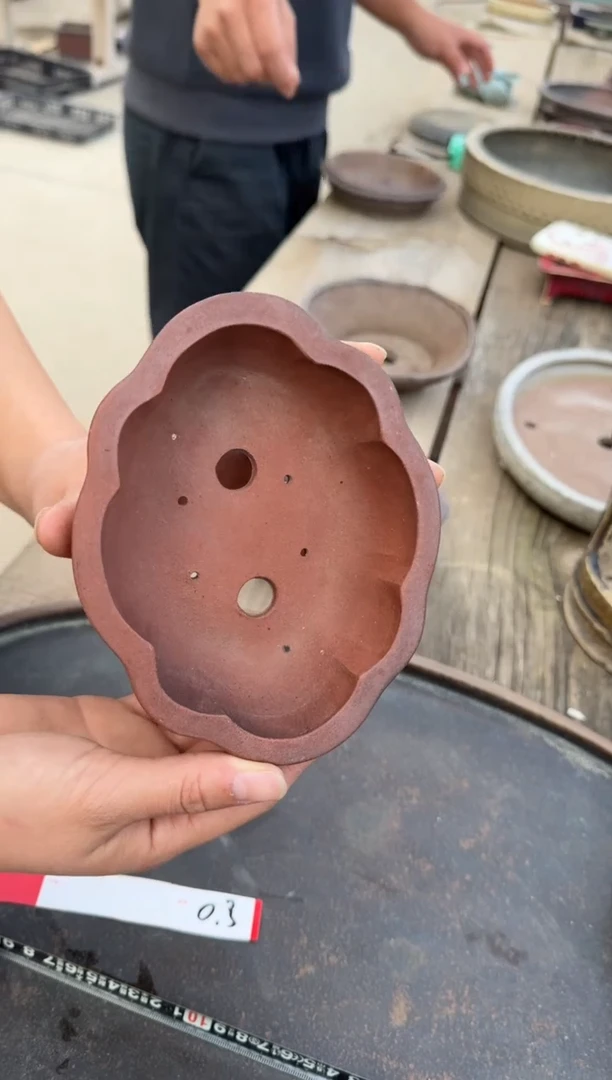 【闪购商品】-紫砂盆-E38