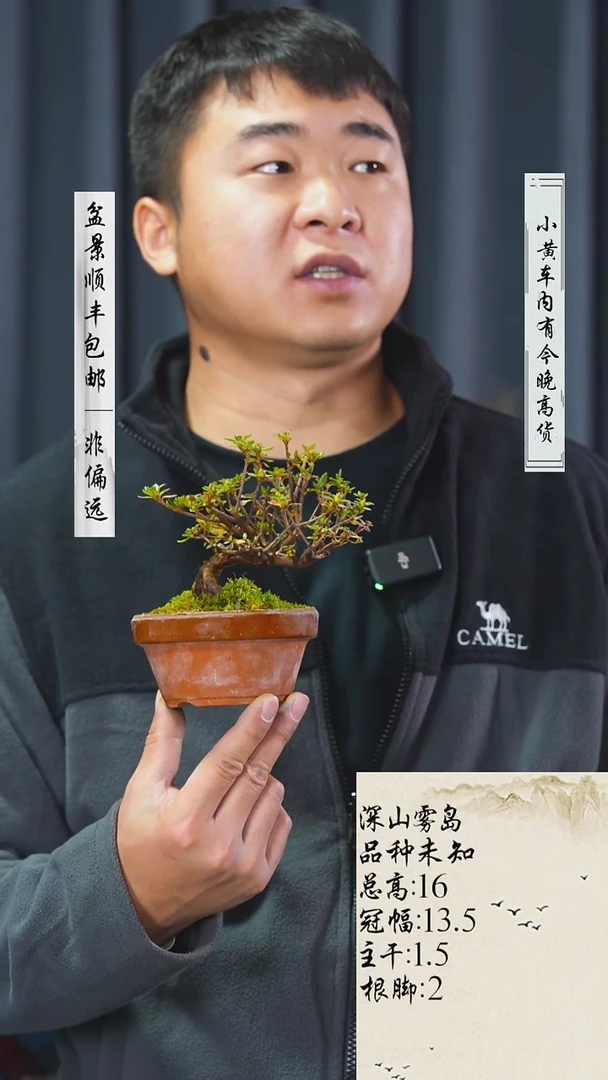 【闪购商品】-深山雾岛-J98