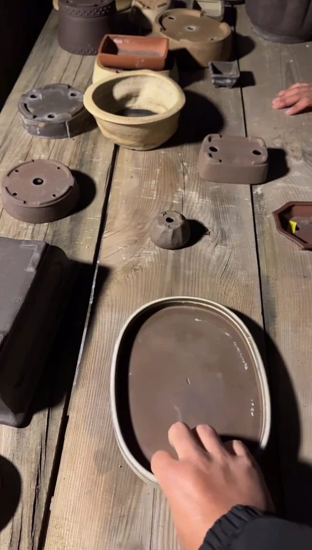 【闪购商品】-水盆-D86