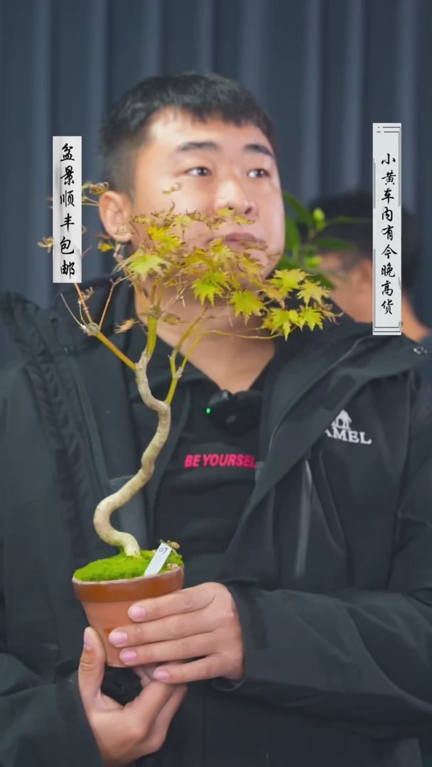 【闪购商品】-团扇-E69