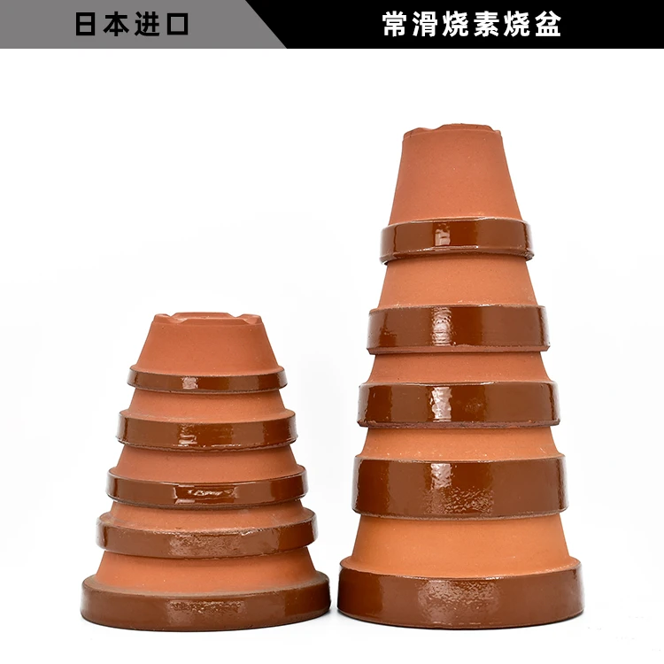 日本进口常滑烧素烧盆红陶盆驮温钵 透气培养盆 花卉绿植盆景盆栽