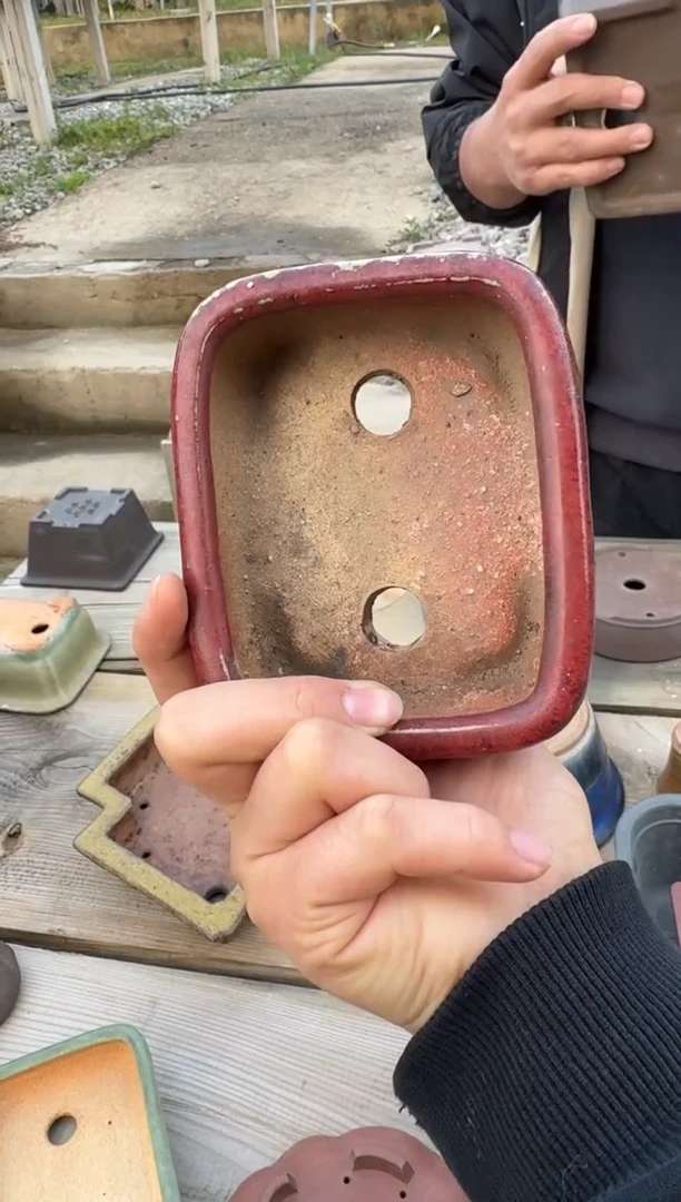 【闪购商品】-红釉盆-D30