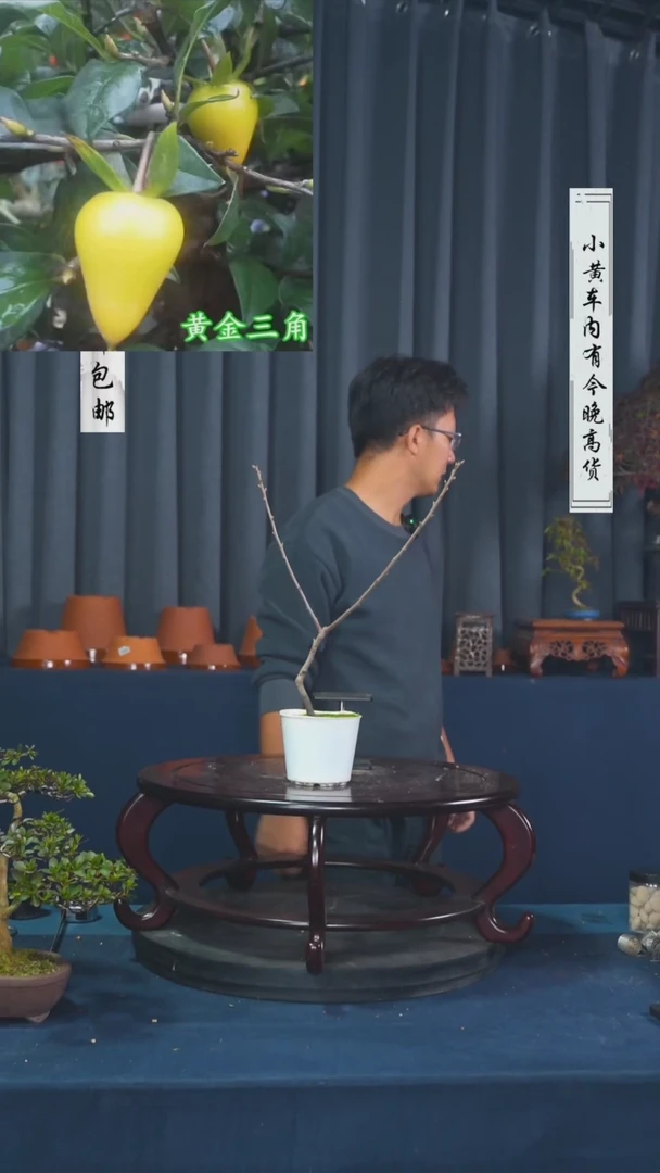 【闪购商品】-黄金三角-E95