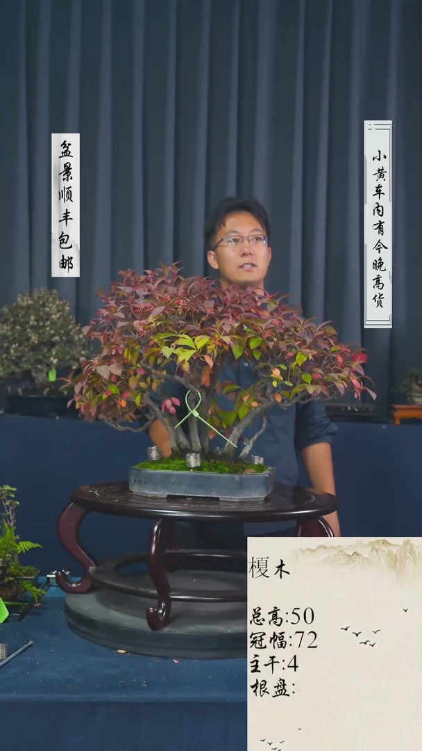 【闪购商品】-榎木