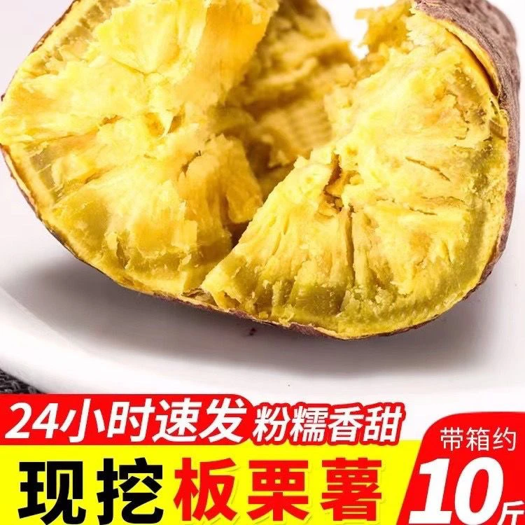板栗薯红薯地瓜板栗红薯蜜薯糖心沙地现挖黄心番薯批鸡蛋黄5/10斤