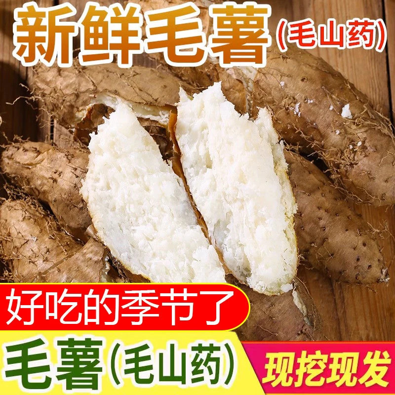 新鲜毛薯淮山怀山药白心脚板薯广东甜薯毛薯火苕粉糯5/9斤