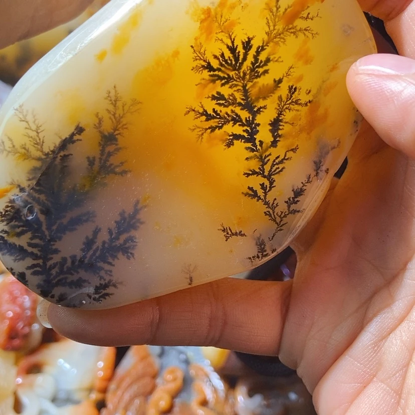 【闪购商品】石英质玉（黄龙玉）颈饰未镶嵌