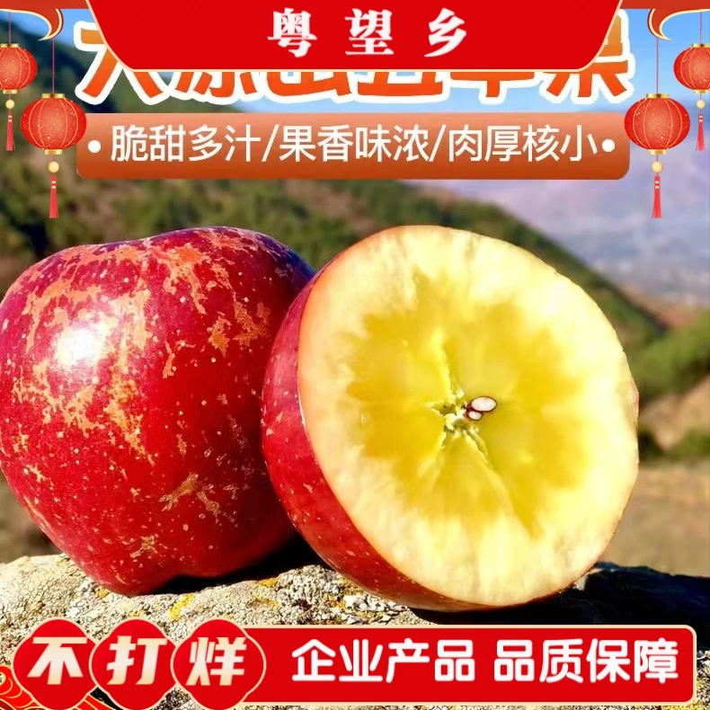 粤望乡大凉山盐源糖心丑苹果脆甜香甜苹果冰糖心新鲜特产细腻肉厚